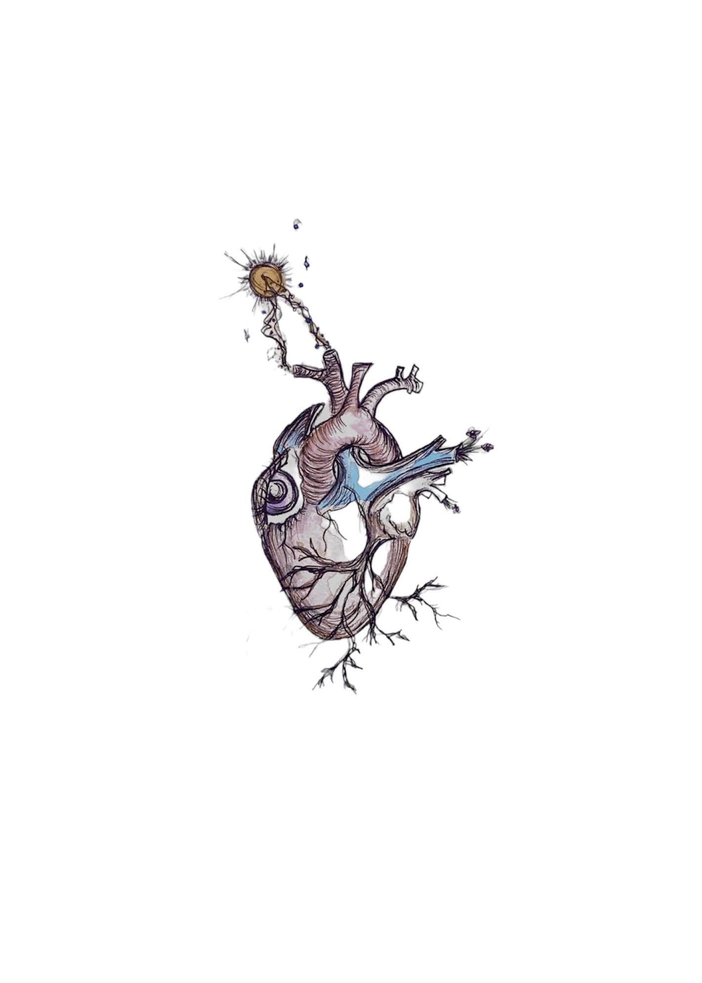 heart