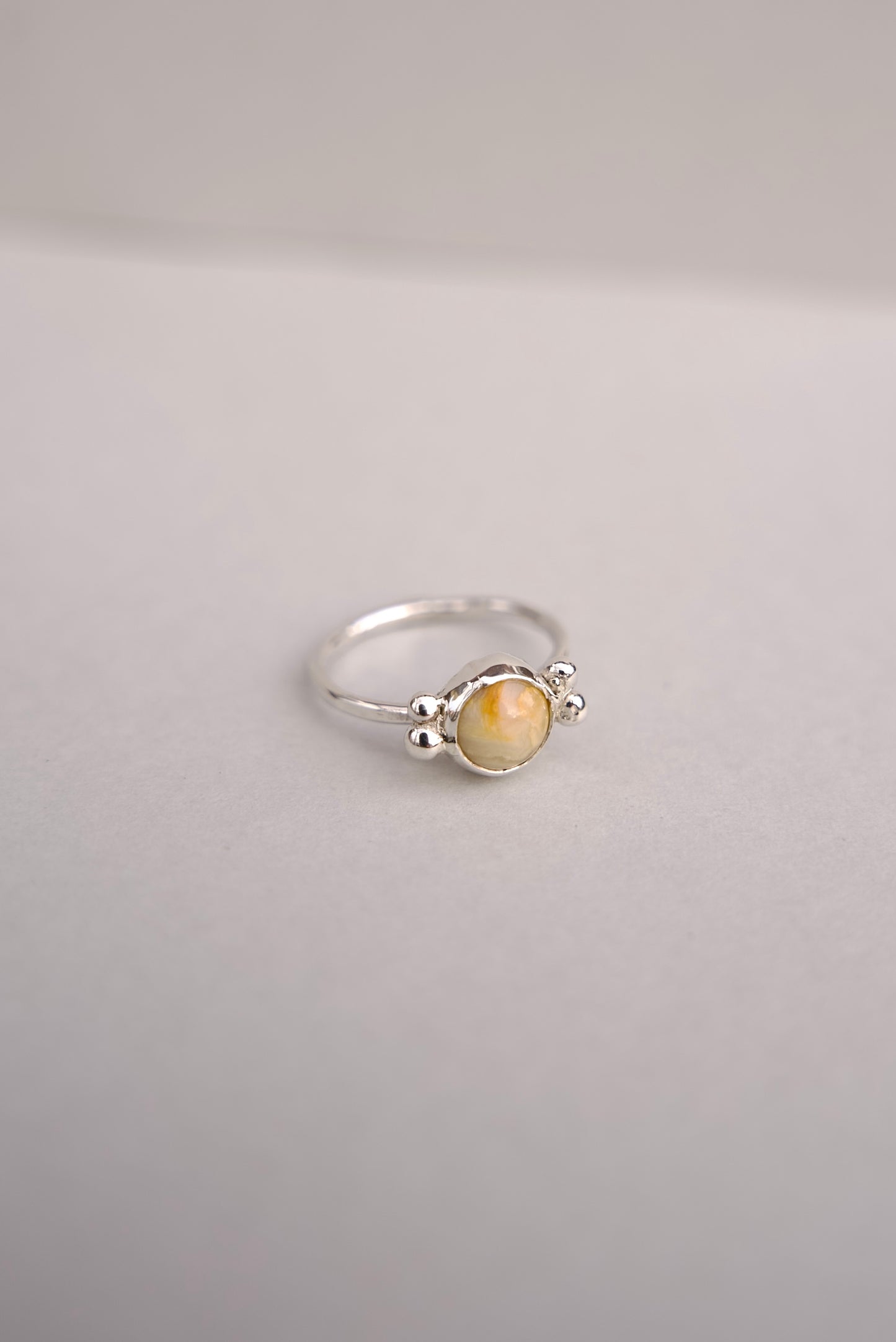 sulphur butterfly (8)