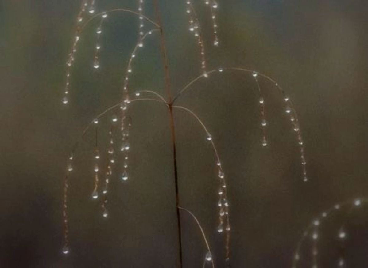 crystal drop (7)